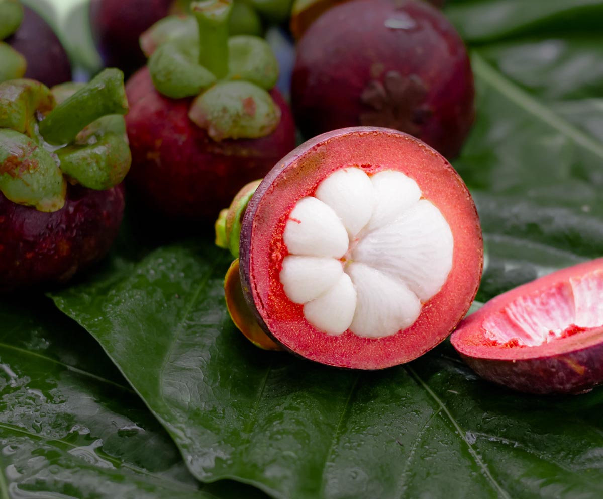 Mangosteen marketing vrucht